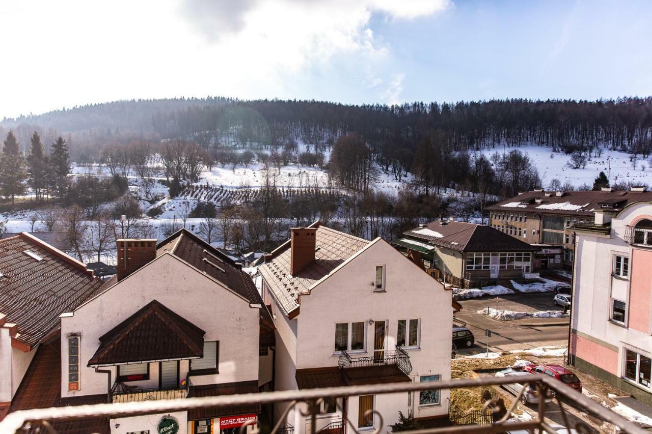 Apartament Lania Frania Ustrzyki Dolne Εξωτερικό φωτογραφία